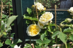 08.07.2018