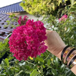Super Excelsa - 163