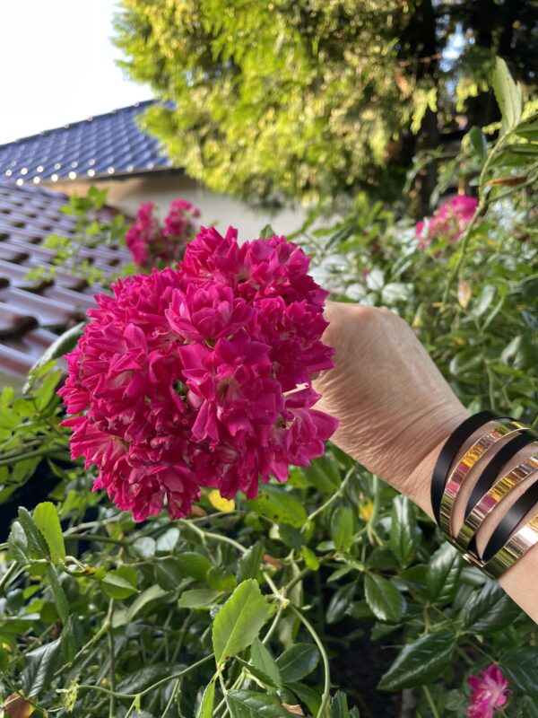 Super Excelsa - 163
