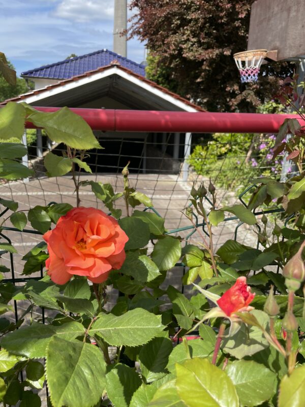 Westerland 144 – Bild 3